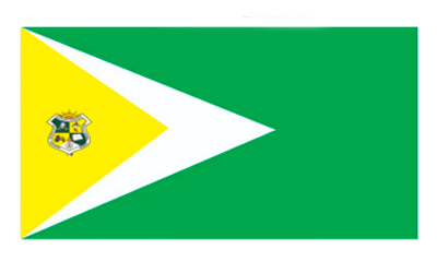 Bandera Institucional